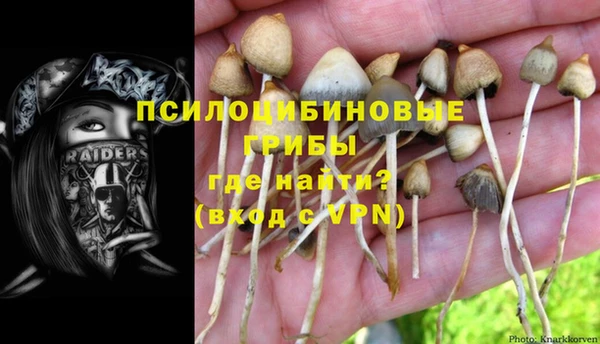 PSILOCYBIN Балабаново