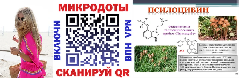 Купить где  Гурьевск  Галлюциногенные грибы Psilocybine cubensis 